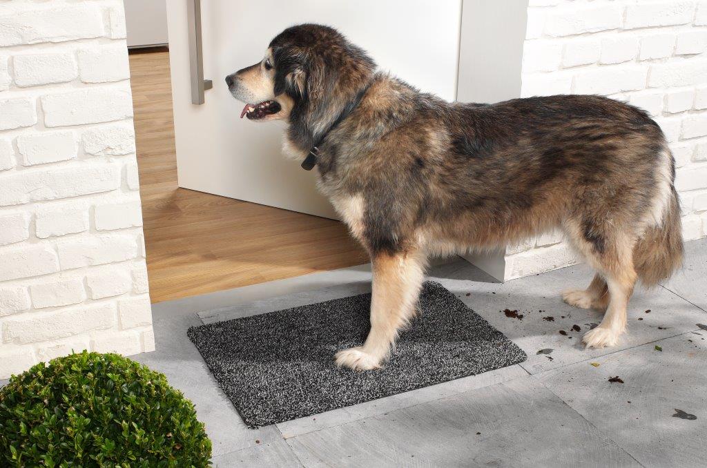 pana_fussmattemilleu_schwarzmitschuhen(2)